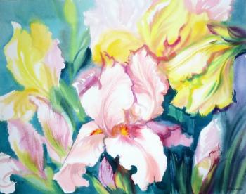 ������� �������� ������