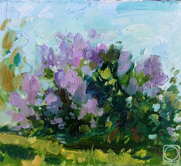 Gerasimova Natalia. Lilac bush