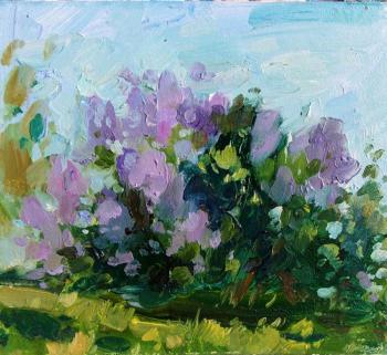 Lilac bush. Gerasimova Natalia
