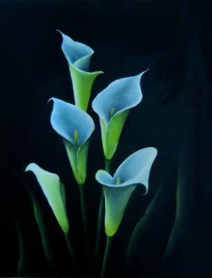 Calla