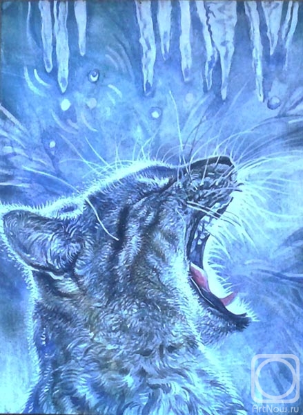 �������. ������� ������. ����