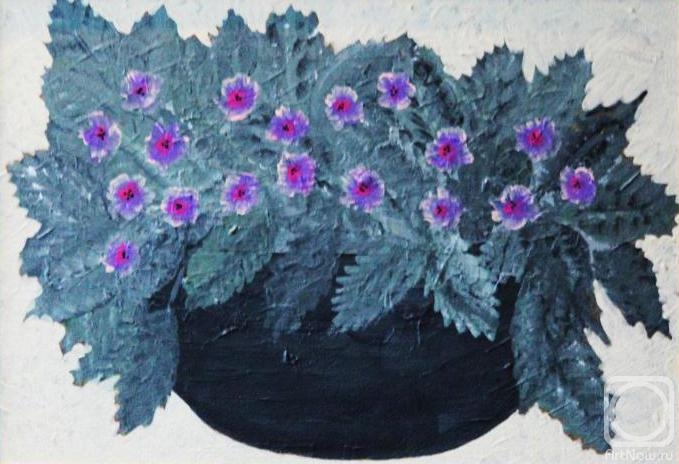 Potapova Elena. Buy violets