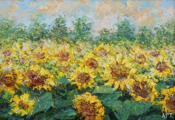 Sunflower field. Oganesyan Artur