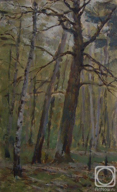 Kostylev Dmitry. Study in the forest