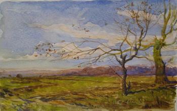 ������� ������� �������