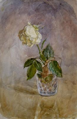 ������� �����