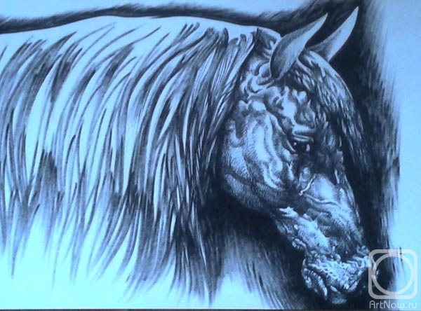 �������. ������� ������. ����