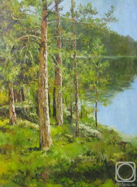 ������� ������ �� ������. ���������� �����. ��������� ���� � �����