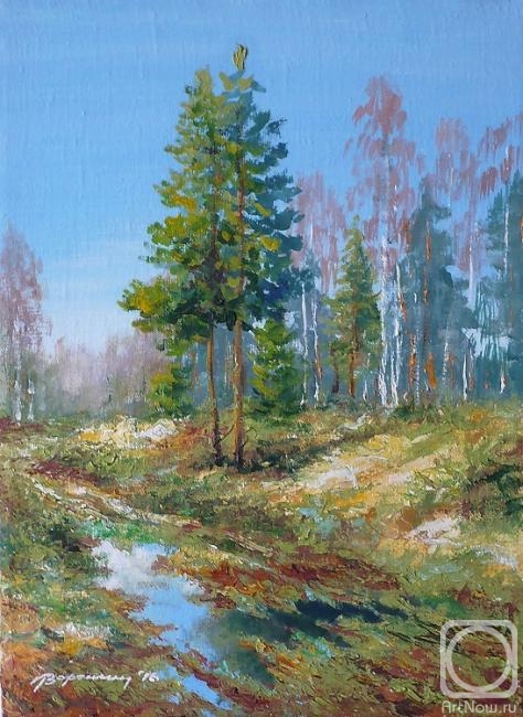 Voronin Oleg. Road in forest