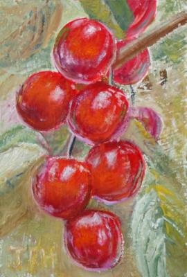 Cherries. Kudryashov Galina