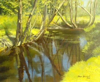 Walk along the river