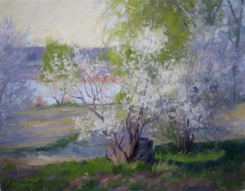 Spring morning. Voronov Vladimir