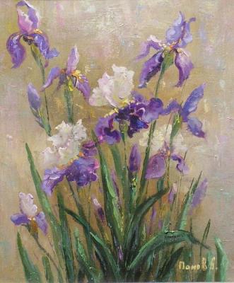 Irises. Panov Aleksandr