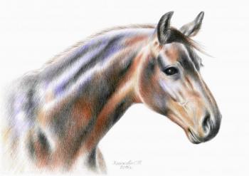 Horse. Khrapkova Svetlana