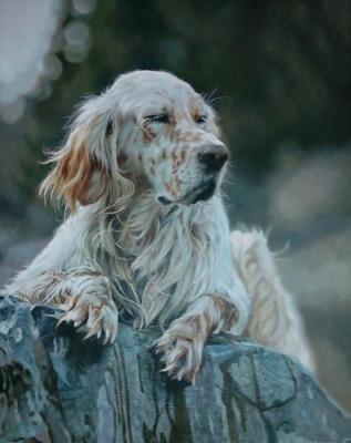 Dog on a stone. Merenkov Sergei