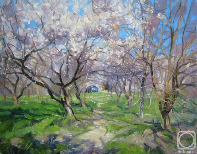 ������� ������ �� ������. ������� ��������. ������ ��������