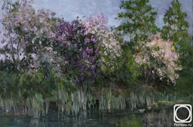 �������. �������������� ������. ��������� �����, ������� ������