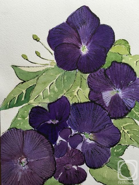 �������. ���������� �����. ������ �����