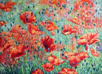 Spanish Poppy Field
