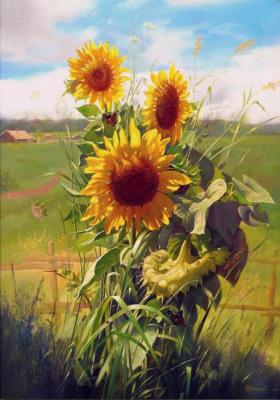 Sunflowers. Glazkov Vitaliy