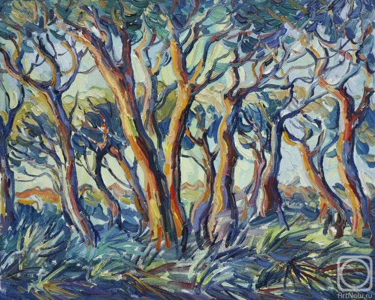 ������� ������ �� ������. ��������� ������. Pinos de Chipiona, atardecer