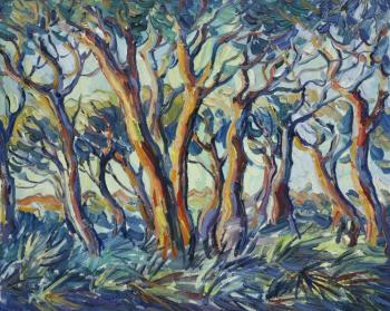 ������� �Pinos de Chipiona, atardecer�