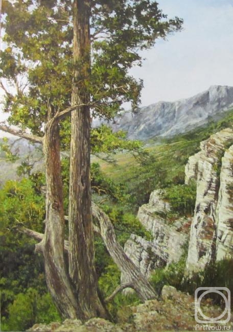 ������� ������ �� ������. ���������� �����. ����� � �����