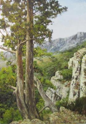 Pine trees by the rock. Shahramanyan Vagan