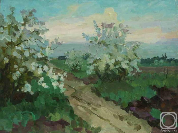 Korznyakov Nikolay. The apple tree is in bloom. Evening