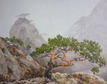 � �����. ���������� �����