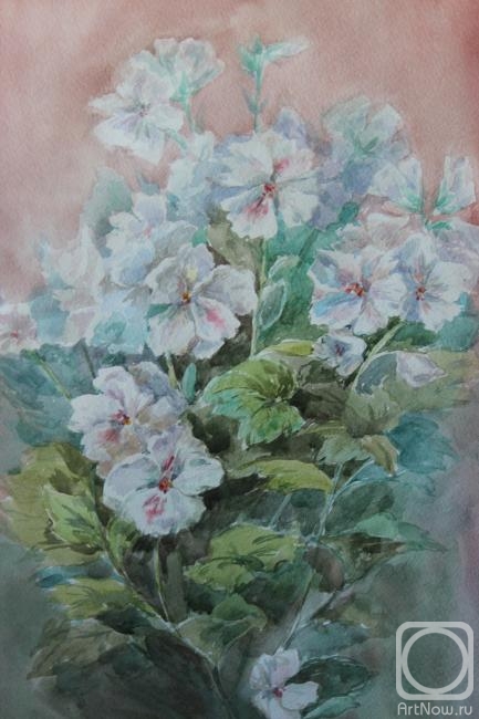 �������. ������� ���������. �������