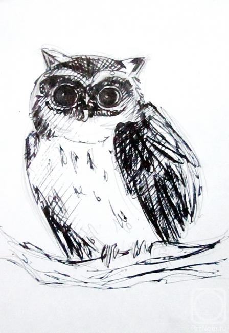 �������. ������ ����. ����