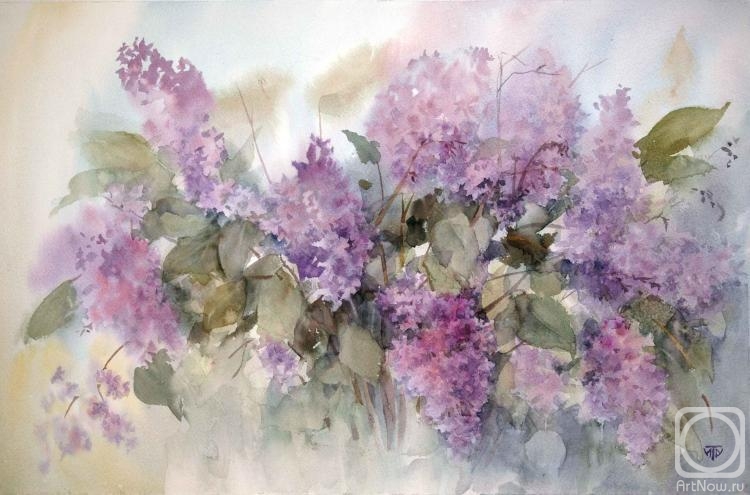 �������. �������� �����. ������