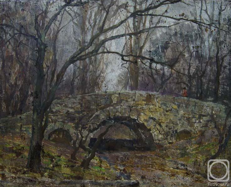 Kostylev Dmitry. Bridge study