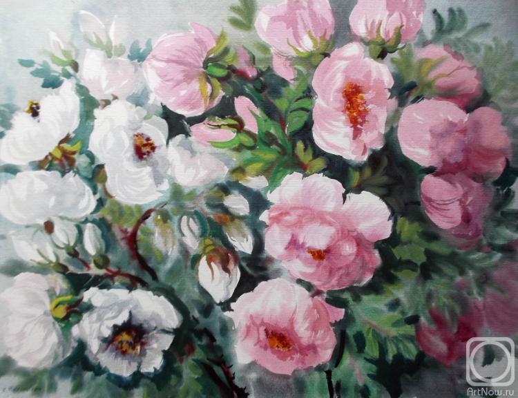 �������. ���������� ���������. ���� �� ����