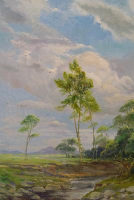 Landscape with stream