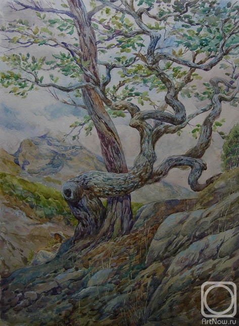 �������. �������� �������. ����� � ����� �����