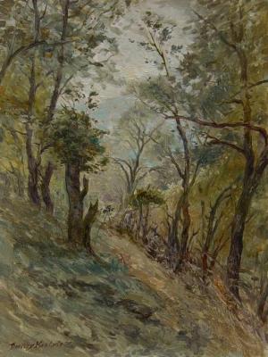 Mount way in Stoliv. Montenegro