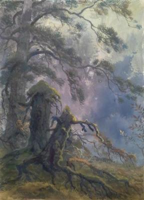In the haze of the forest. Kostylev Dmitry