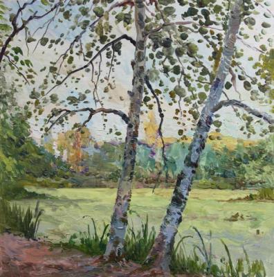 Kostylev Dmitry Pavlovich. Scetch near the pond