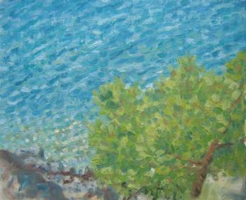 Pine trees on the seashore