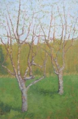 Spring Garden (etude)