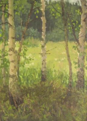 Birches (etude). Chertov Sergey