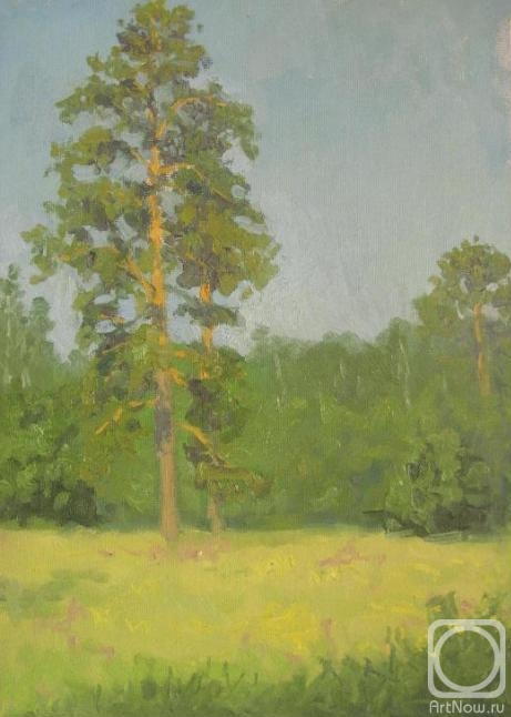 ������� ������ �� ������. ������ ������. ����� (����)