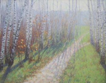 Road in the Autum forest. Chertov Sergey