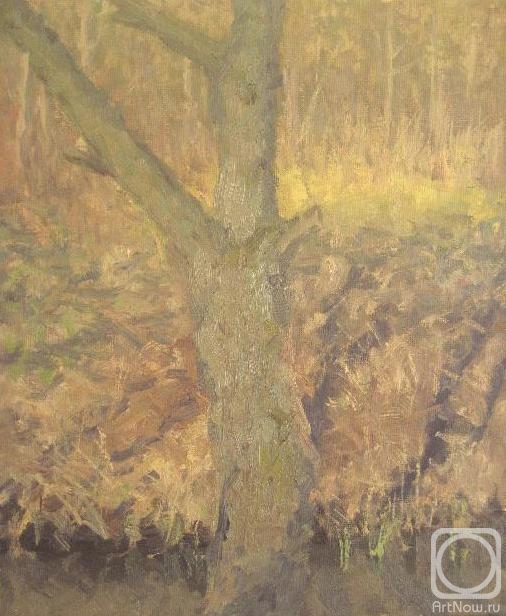 �������. ������ ������. ����