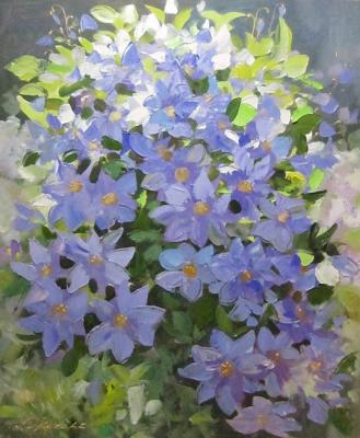 ������� �����������