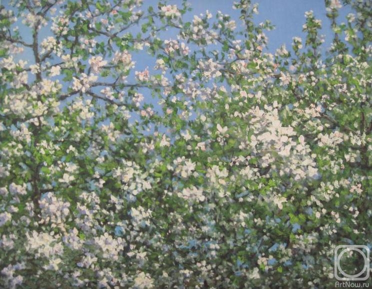 ������� ������ �� ������. ������ ������. ��������