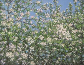 ������� ���������