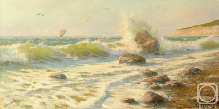 Vinokurov Alexander. Wave. Wild coast in Durso